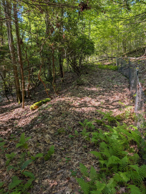 Listing Image 56