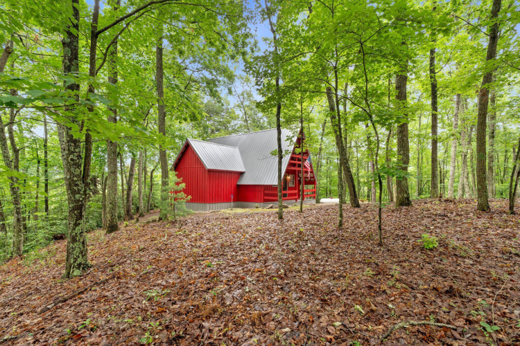 Listing Image 4