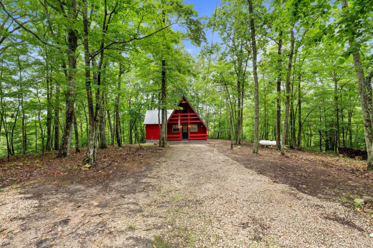 Listing Image 7