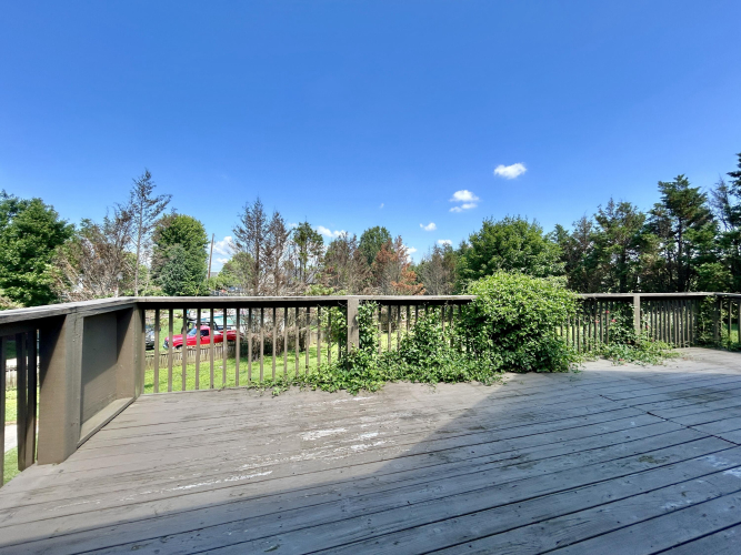 Listing Image 50