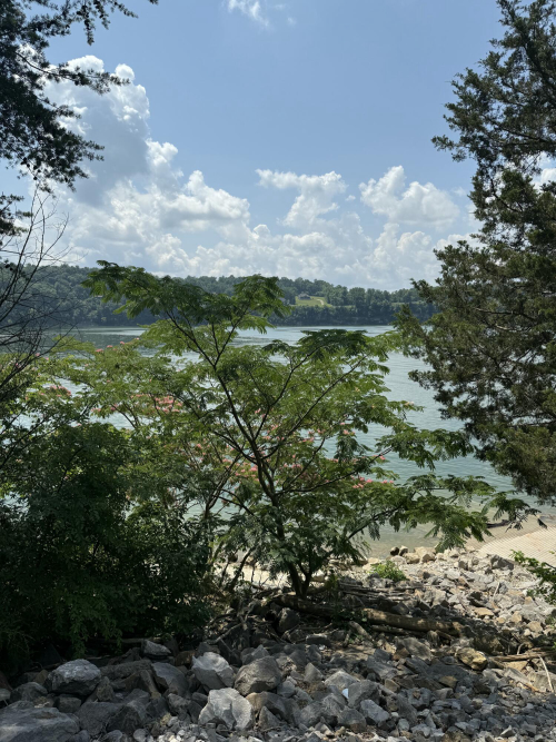 Listing Image 54