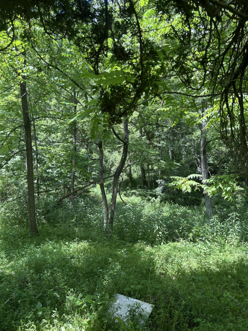 Listing Image 20