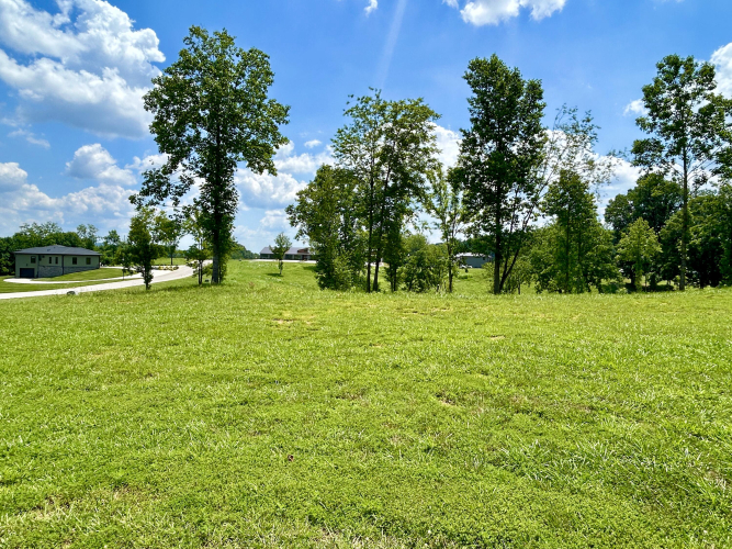 Listing Image 5