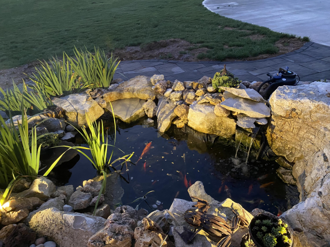 Listing Image 58