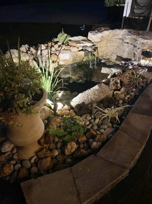 Listing Image 59