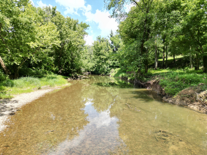 Listing Image 61