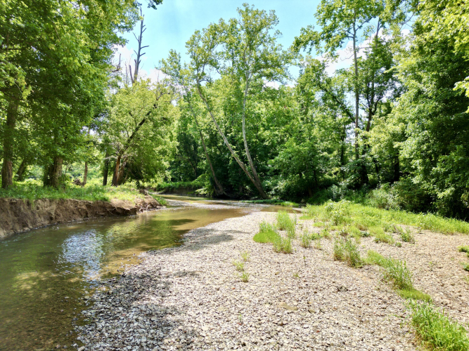 Listing Image 62