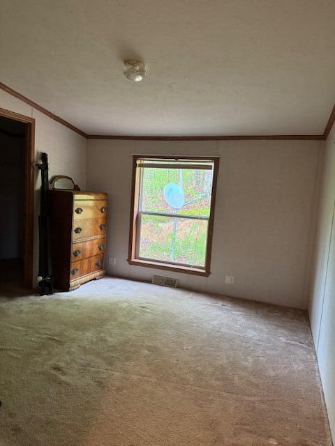 Listing Image 43