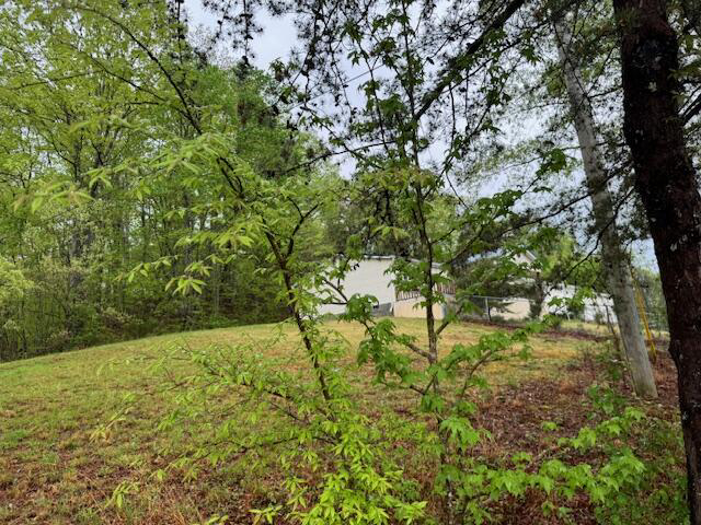 Listing Image 56