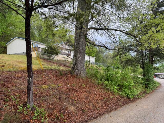 Listing Image 58