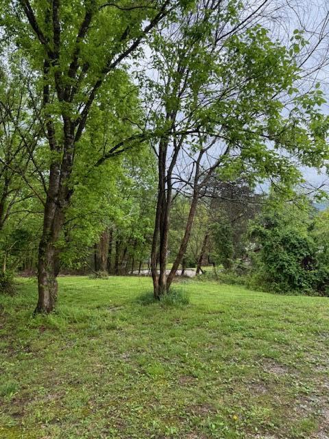 Listing Image 64