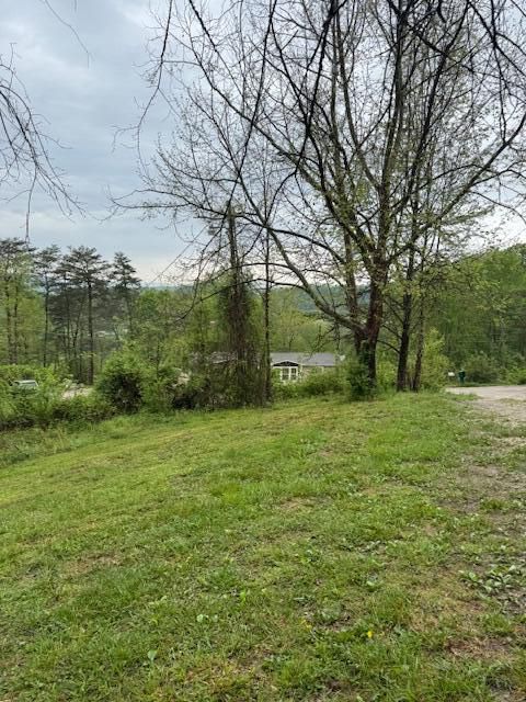 Listing Image 65