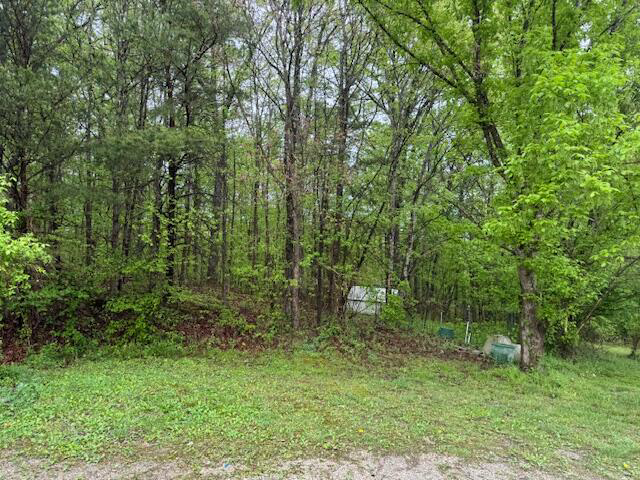 Listing Image 67