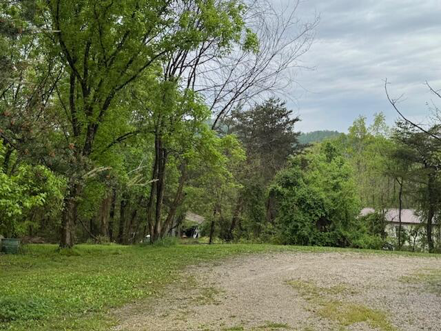 Listing Image 69