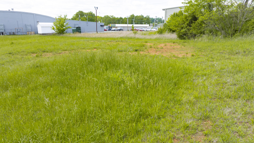 Listing Image 32