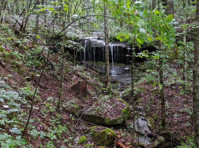Listing Image 35