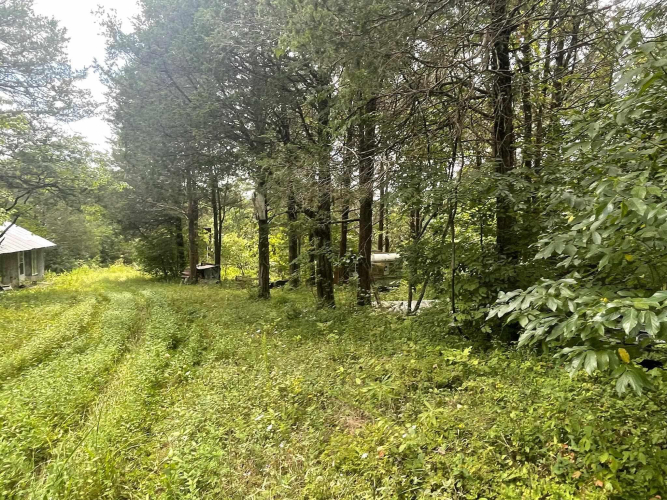 Listing Image 17