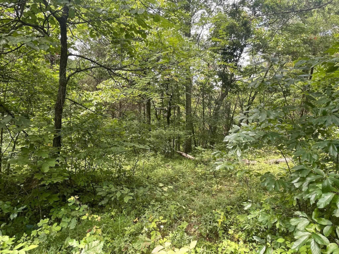 Listing Image 18