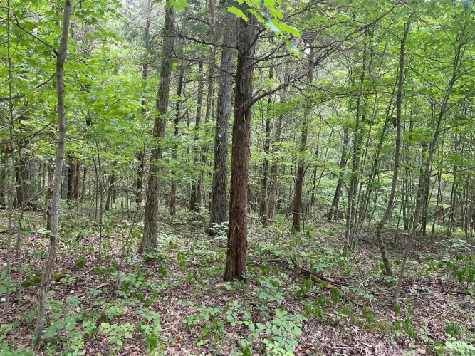 Listing Image 22