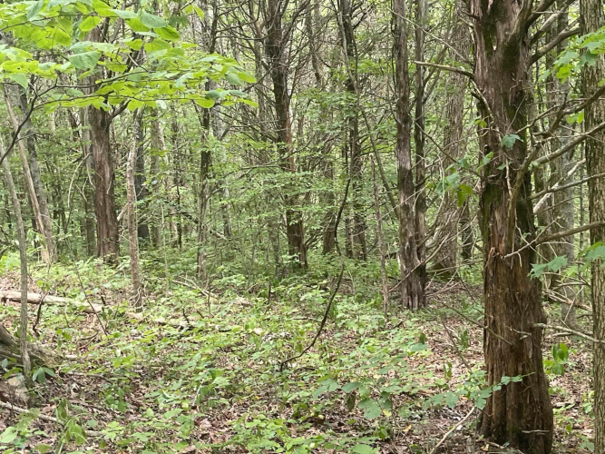 Listing Image 23