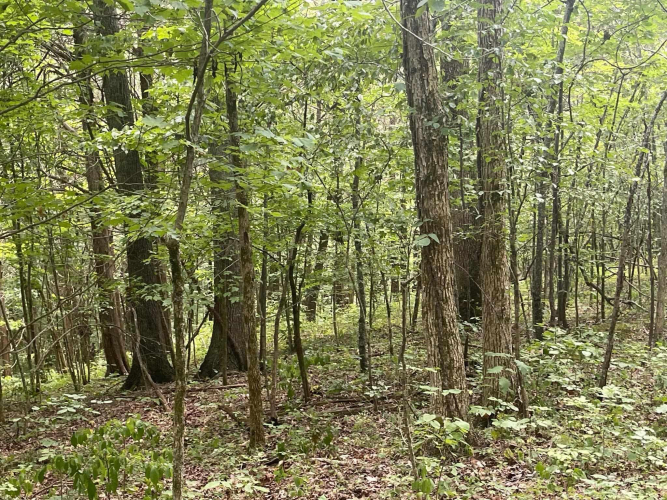 Listing Image 27