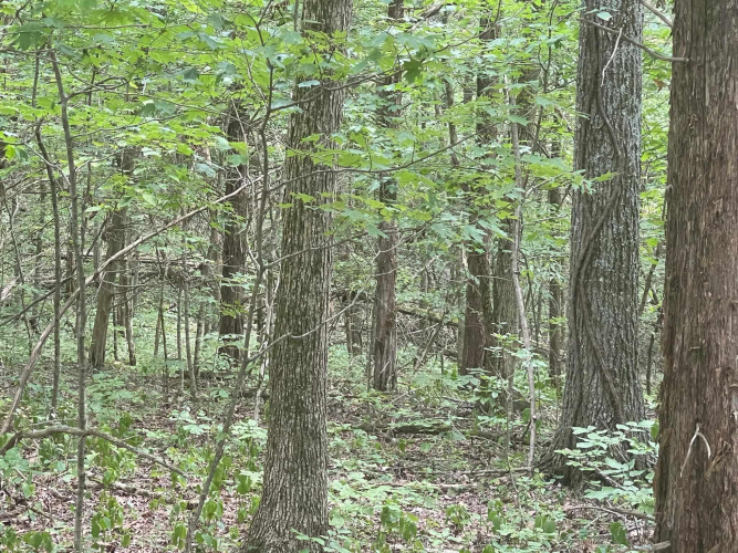 Listing Image 28