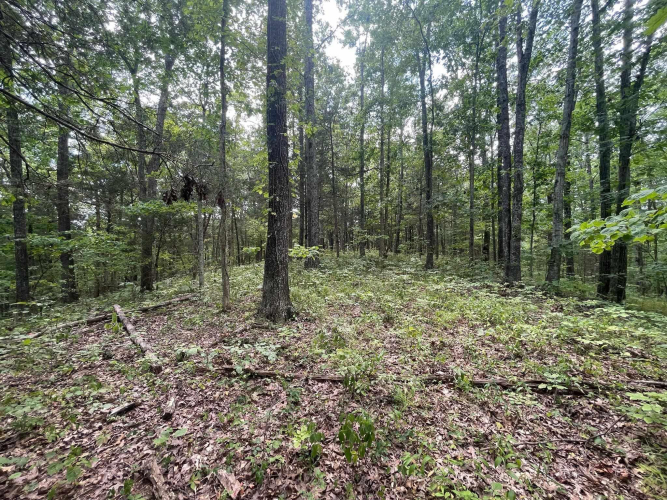 Listing Image 30
