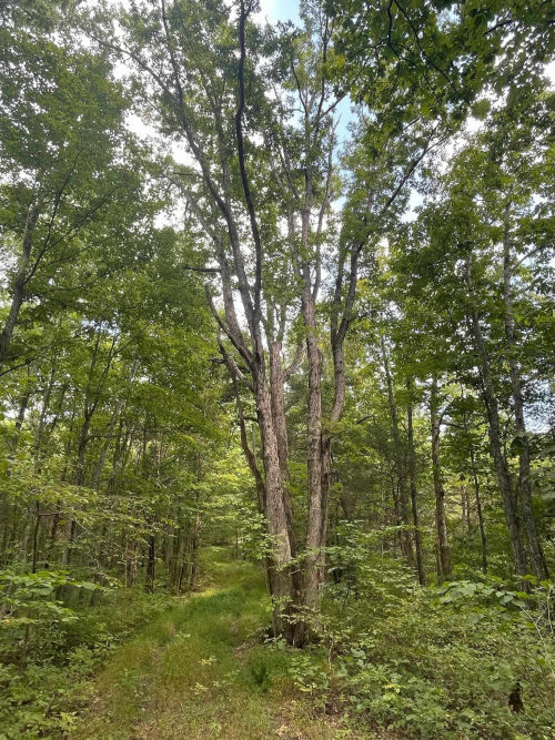 Listing Image 32