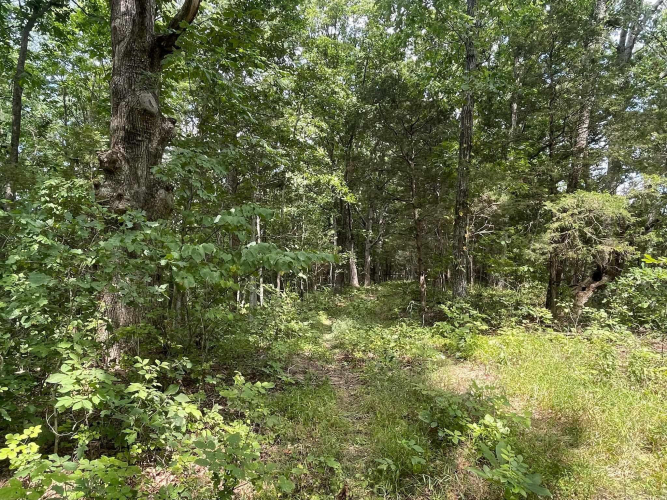 Listing Image 36