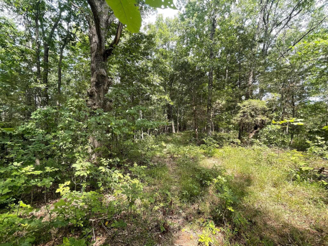 Listing Image 37