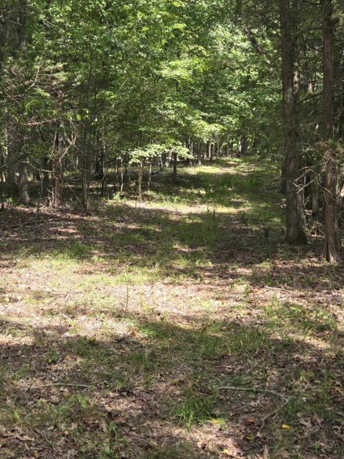 Listing Image 46