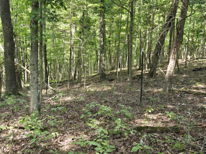 Listing Image 47