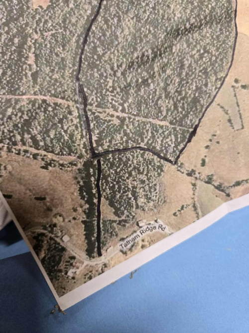 Listing Image 60