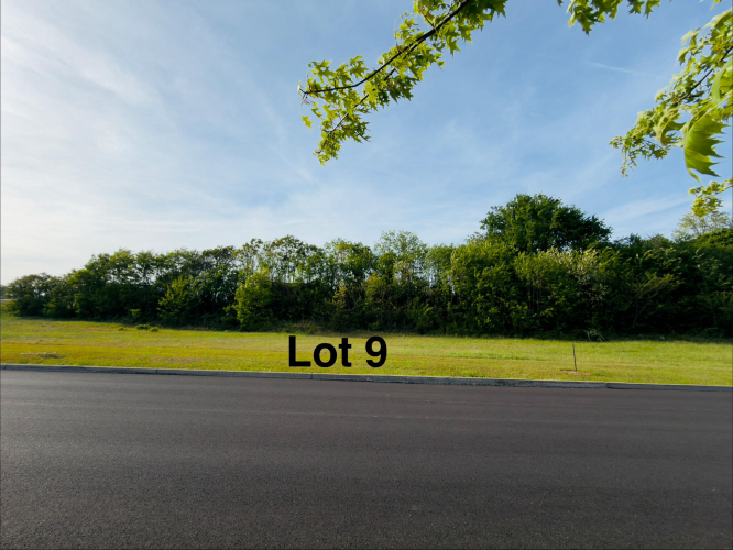 Listing Image 4