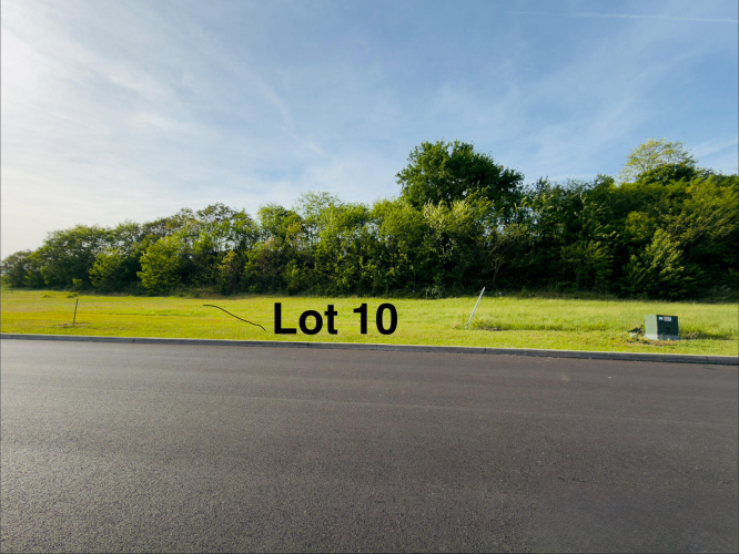 Listing Image 7