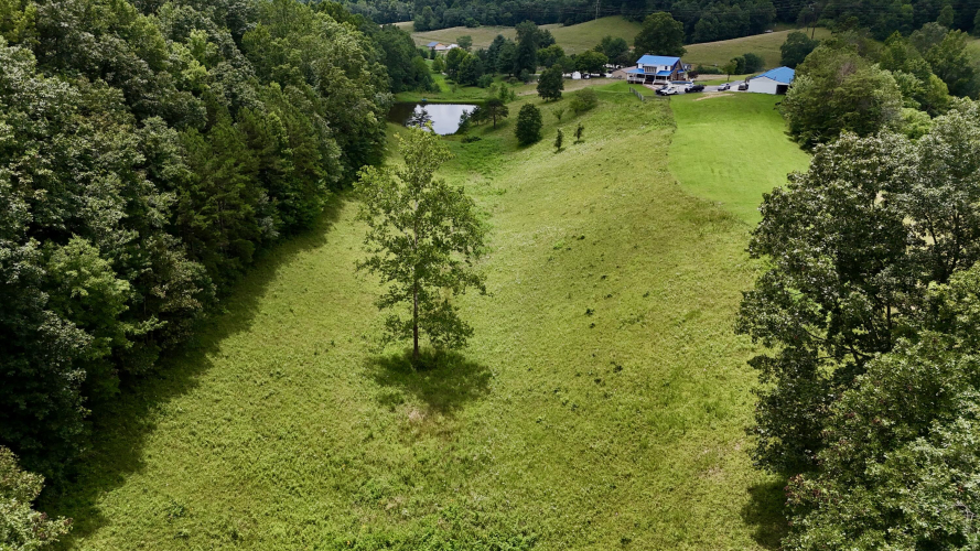 Listing Image 55