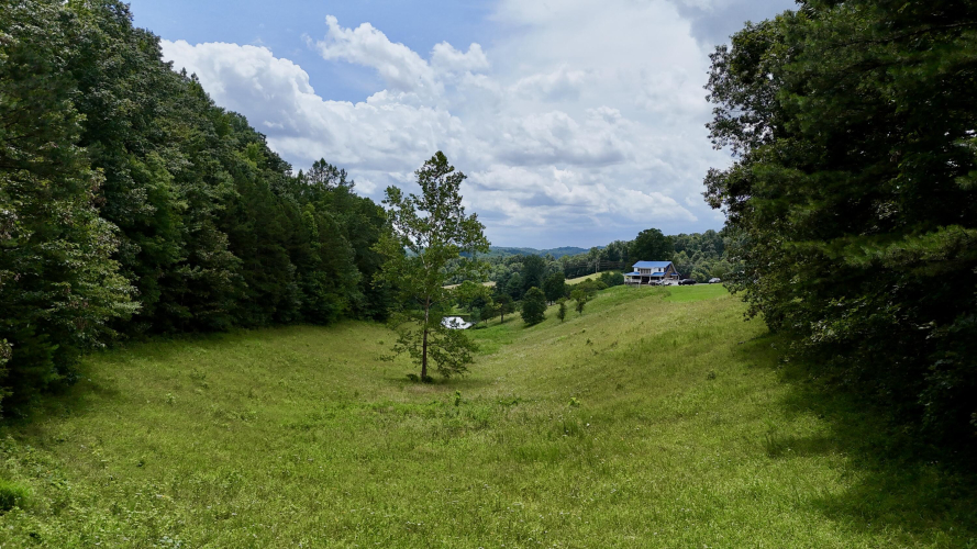 Listing Image 56