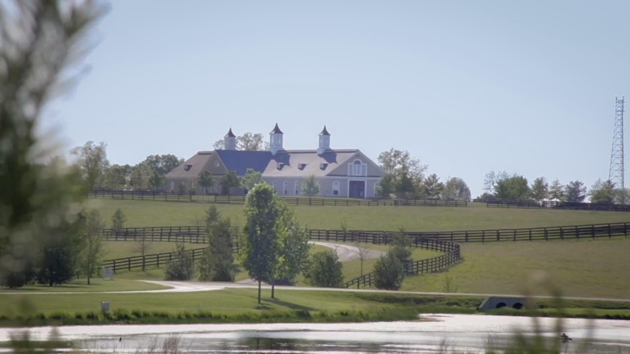 Listing Image 16