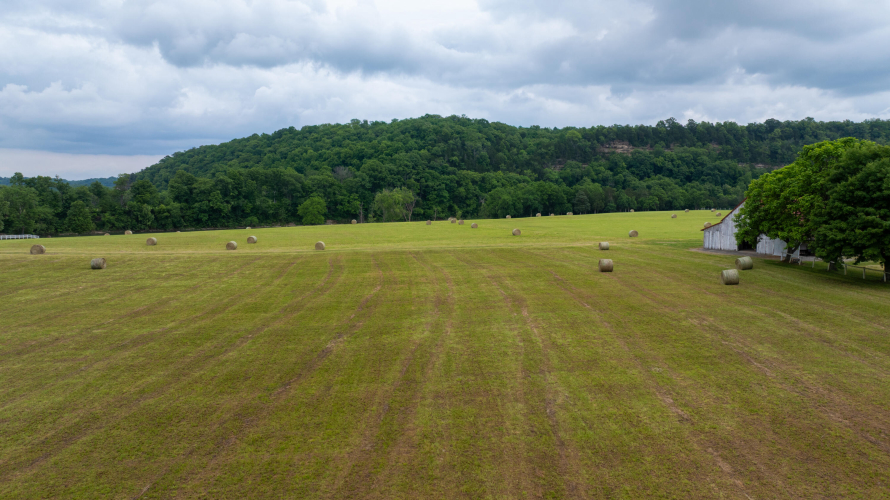 Listing Image 24