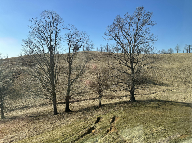 Listing Image 41