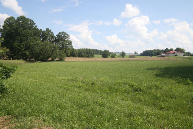 Listing Image 18