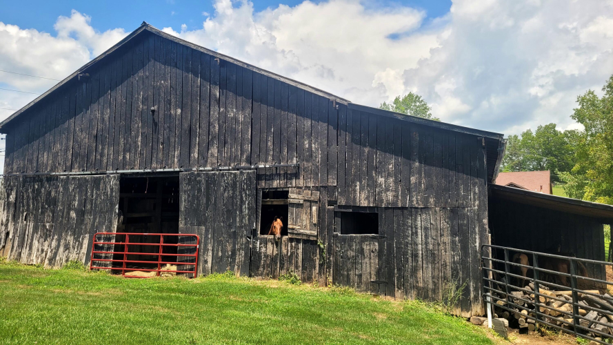 Listing Image 15