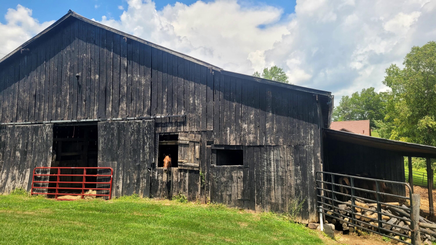 Listing Image 16