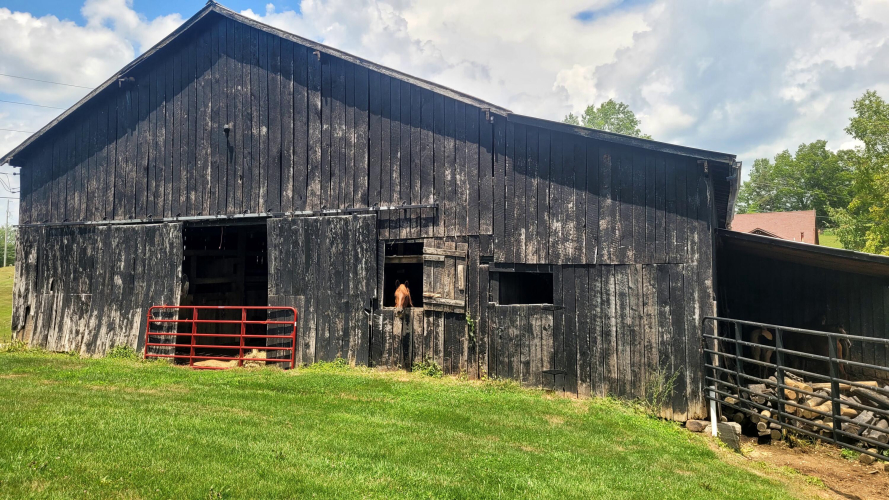 Listing Image 17