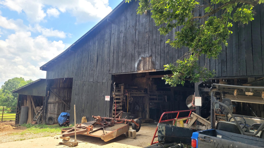 Listing Image 18