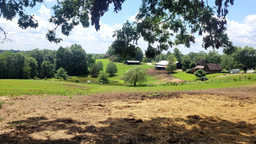 Listing Image 33