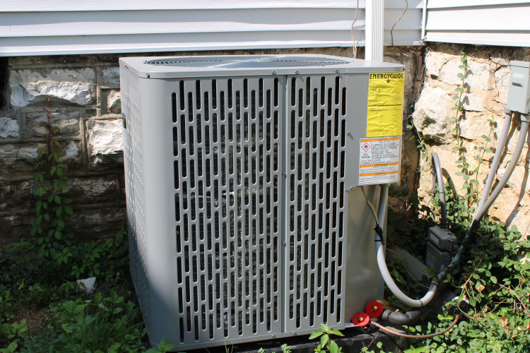 Listing Image 21