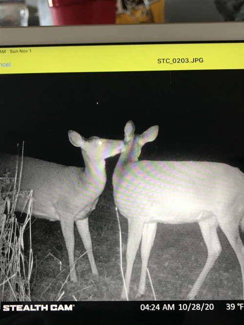 Listing Image 17
