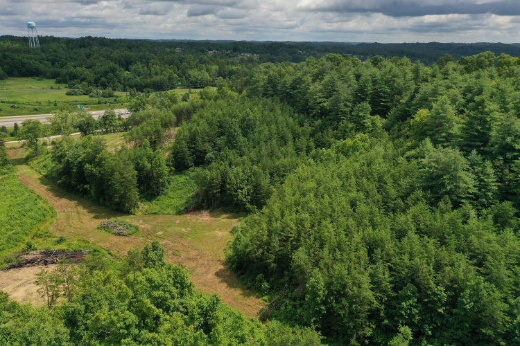 Listing Image 11