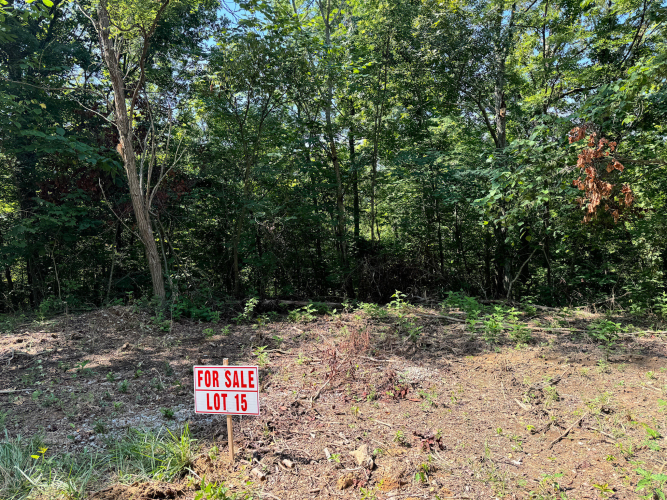 Listing Image 18